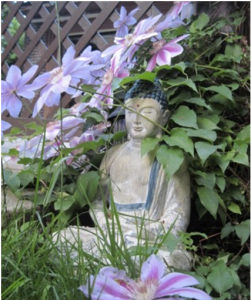 yoga-not-just-a-workout