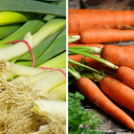 32-Weight-loss-triggering-food