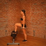 Single leg dumbbell step up