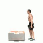 dumbbell-step-up
