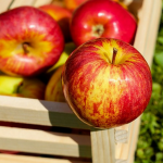 Apple to detoxify blood