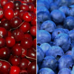 Cranberry and Blueberry to detoxify blood