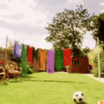 Anyone can cook aloo gobi, but who can bend a ball like Beckham?