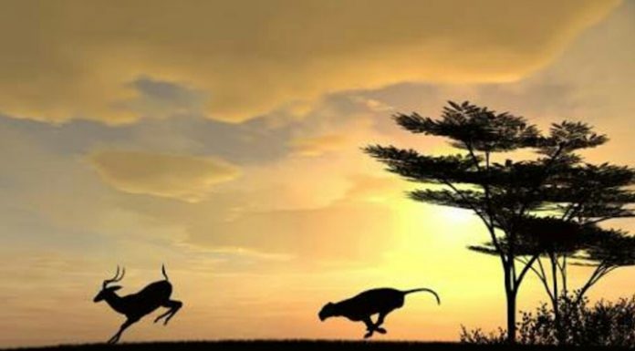 What Is Motivation And How Does  A Person Get It?