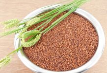Ragi - Finger Millets