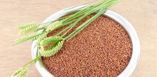 Ragi - Finger Millets