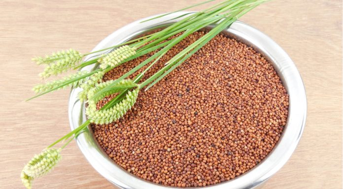 7 Super Wow Benefits Of Ragi And How To Consume It Ragi - Finger Millets