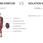 Compound vs Isolation