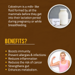 colostrum benefits