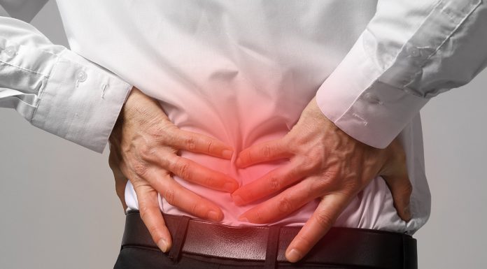 6 Easy Exercises for Lower Back Pain Back Pain cover image